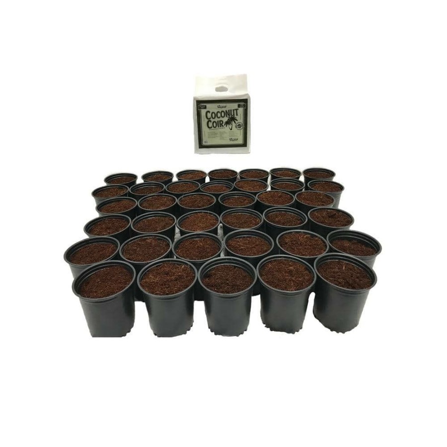 * Viagrow 2 Qt. Plastic Nursery Trade Pots With Coconut Coir Growing Media (50-Pack)