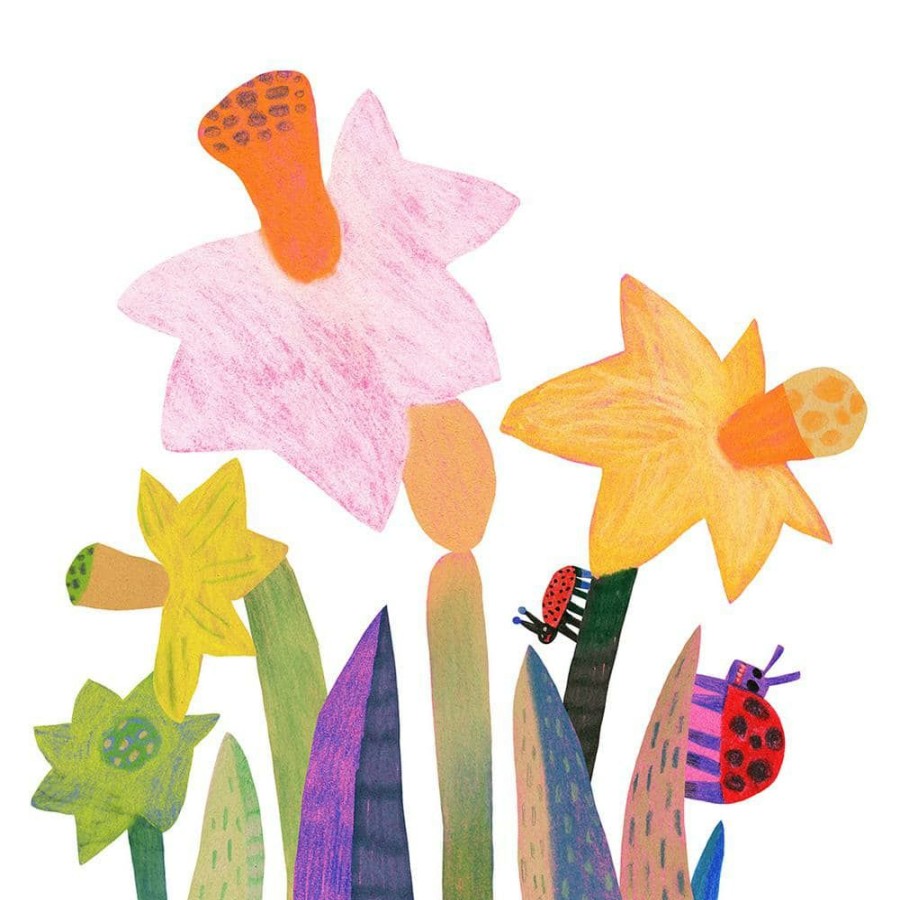 * Van Zyverden Daffodils Bulbs Gardening With Childeren Mixture (Set Of 25)