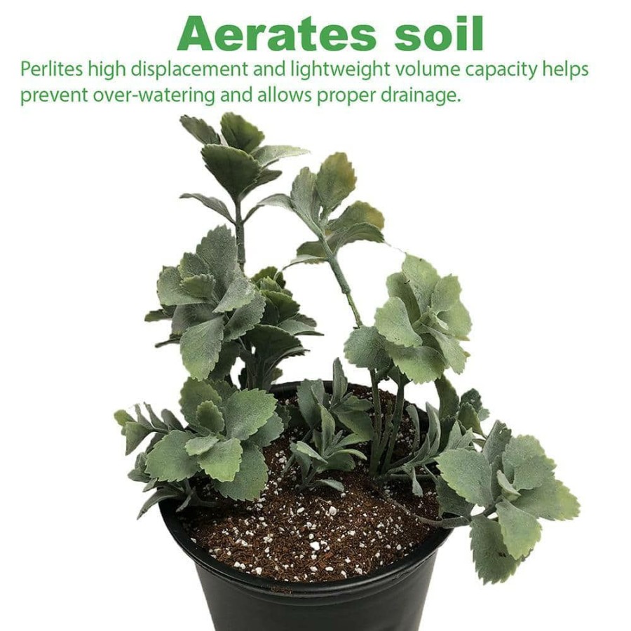 * Viagrow 59 Quarts, 2 Cu. Ft. Organic Perlite Planting Soil Additive And Growing Medium White (2-Pack)