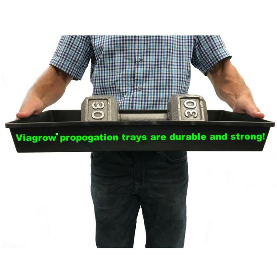 * Viagrow 11 In. X 22 In. Tall Clear Plastic Dome Single Tray Kit With Standard Flat, 72 Cell Insert And Heat Mat